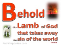 Behold The Lamb of God